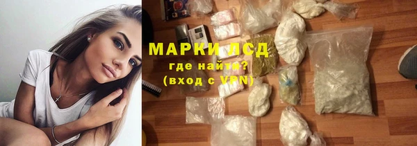 шишки Беломорск