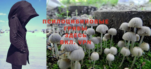 шишки Богданович