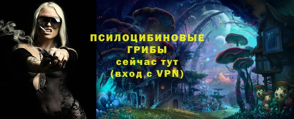 марки lsd Инсар