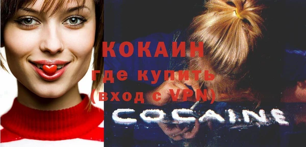 шишки Богданович